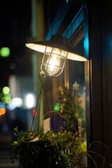 The Sendai Pageant of Starlight