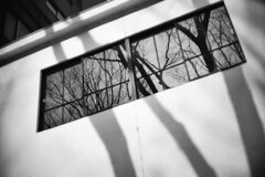 On The Sunny Side Of Town (Jan.24, 2024)