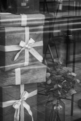 On The Sunny Side Of Town (Feb.2, 2024)