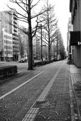 On The Sunny Side Of Town (Jan.8, 2024)