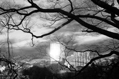 On The Sunny Side Of Town (Dec.21, 2023)