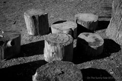 On The Sunny Side Of Town (Dec.18, 2023)