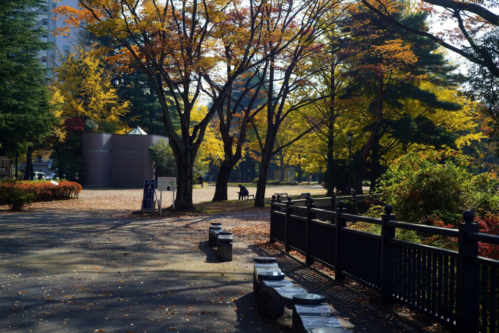 Sunny Side Of A Town: West Park
