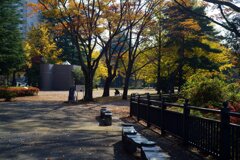 Sunny Side Of A Town: West Park