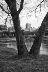 On The Sunny Side Of Town (Dec.24, 2023)