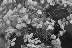 On The Sunny Side Of Town (Dec.31, 2023)