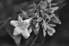 On The Sunny Side Of Town (Dec.31, 2023)