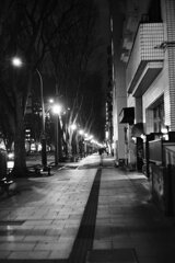 On The Sunny Side Of Town (Jan.9, 2024)