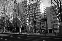 On The Sunny Side Of Town (Jan.5, 2024)