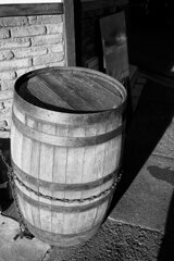 On The Sunny Side Of Town (Dec.23, 2023)