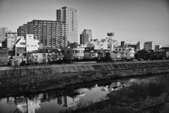 On The Sunny Side Of Town (Jan.17, 2024)