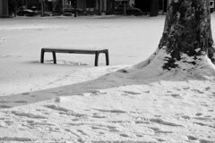 On The Sunny Side Of Town (Jan.16, 2024)