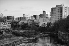 On The Sunny Side Of Town (Jan.7, 2024)