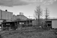 On The Sunny Side Of Town (Dec.26, 2023)