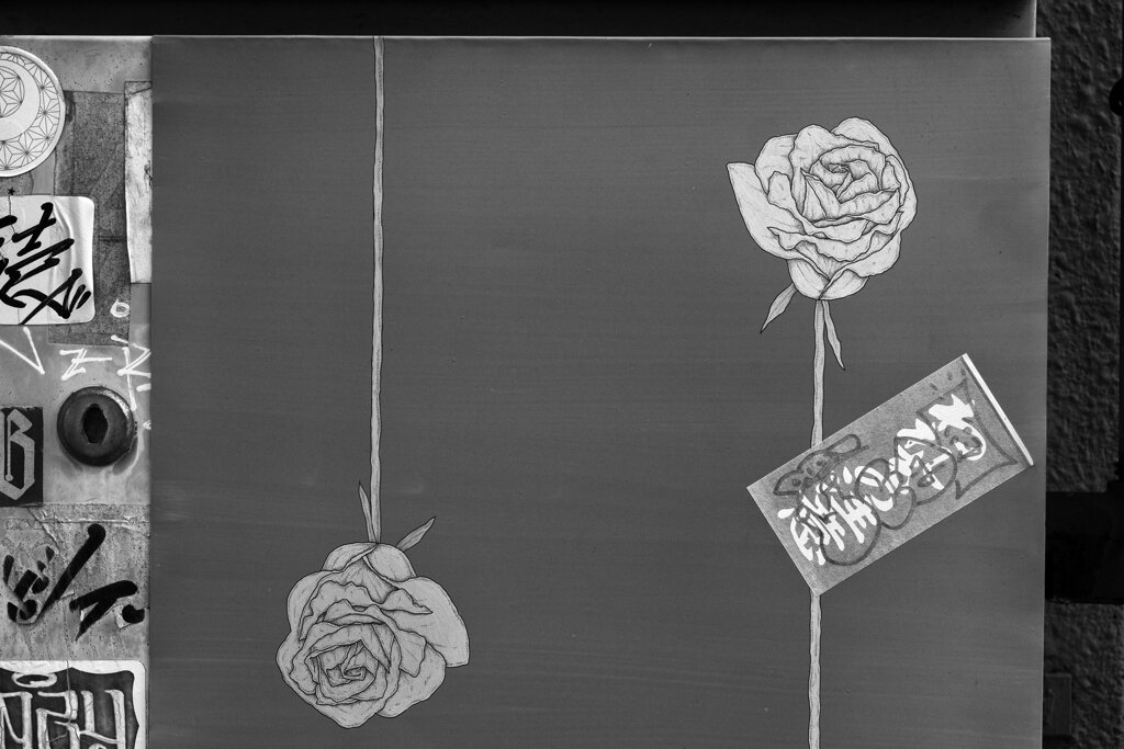 On The Sunny Side Of Town (Jan.28, 2024)