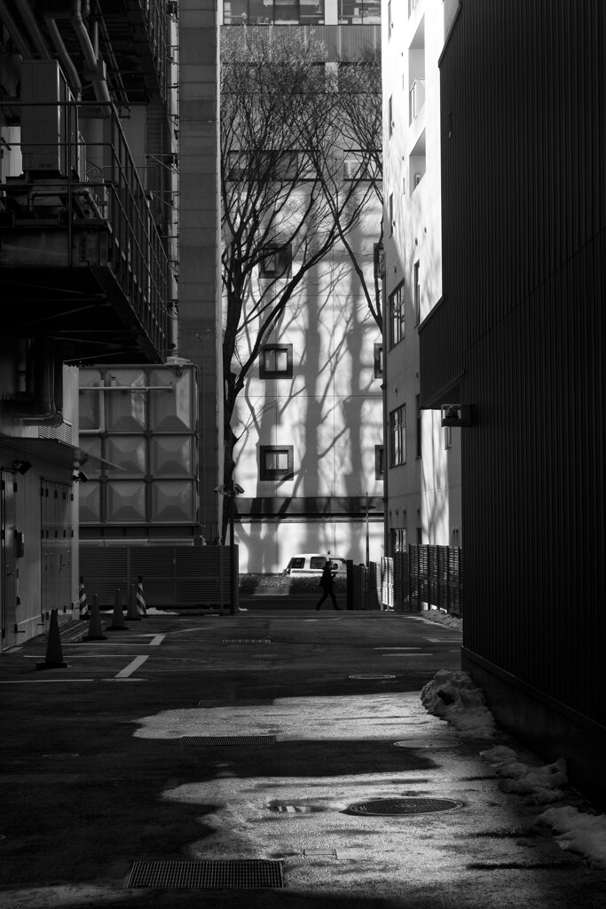 On The Sunny Side Of Town (Jan.28, 2024)