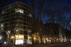 On The Sunny Side Of Town (Jan.11, 2024)