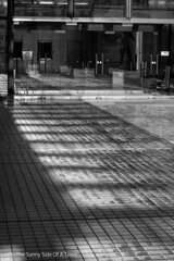 On The Sunny Side Of Town (Dec.17, 2023)