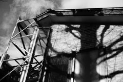 On The Sunny Side Of Town (Jan.19, 2024)