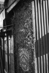 On The Sunny Side Of Town (Jan.15, 2024)