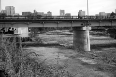 On The Sunny Side Of Town (Dec.24, 2023)