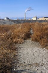 蒲生干潟（宮城県仙台市）Jan.14, 2024