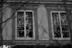 On The Sunny Side Of Town (Dec.20, 2023)