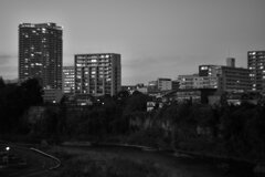 On The Sunny Side Of Town (Dec.28, 2023)