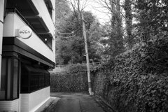 On The Sunny Side Of Town (Jan.27, 2024)