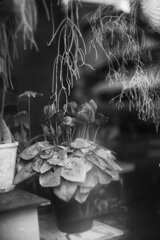 On The Sunny Side Of Town (Dec.30, 2023)