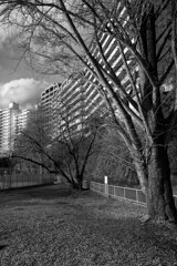 On The Sunny Side Of Town (Dec.26, 2023)