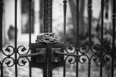 On The Sunny Side Of Town (Dec.30, 2023)