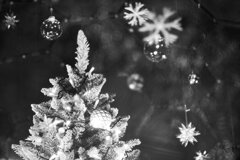 On The Sunny Side Of Town (Dec.20, 2023)