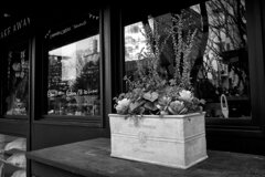 On The Sunny Side Of Town (Jan.27, 2024)