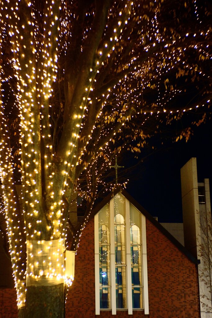 The Sendai Pageant of Starlight