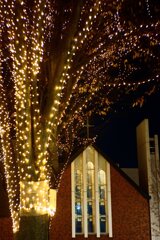 The Sendai Pageant of Starlight