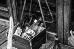 On The Sunny Side Of Town (Jan.28, 2024)