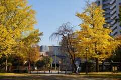 Sunny Side Of A Town: West Park