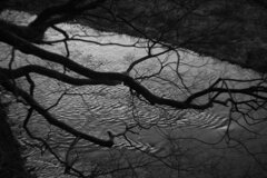 On The Sunny Side Of Town (Dec.28, 2023)