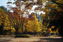 Sunny Side Of A Town: West Park