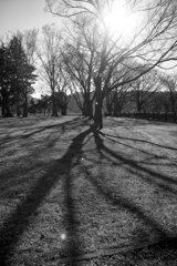 On The Sunny Side Of Town (Jan.5, 2024)