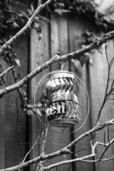 On The Sunny Side Of Town (Jan.1, 2024)