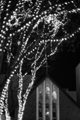 On The Sunny Side Of Town (Dec.20, 2023)