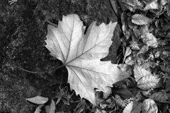 On The Sunny Side Of Town (Dec.31, 2023)