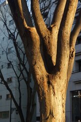 On The Sunny Side Of Town (Dec.28, 2023)