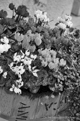 On The Sunny Side Of Town (Dec.17, 2023)