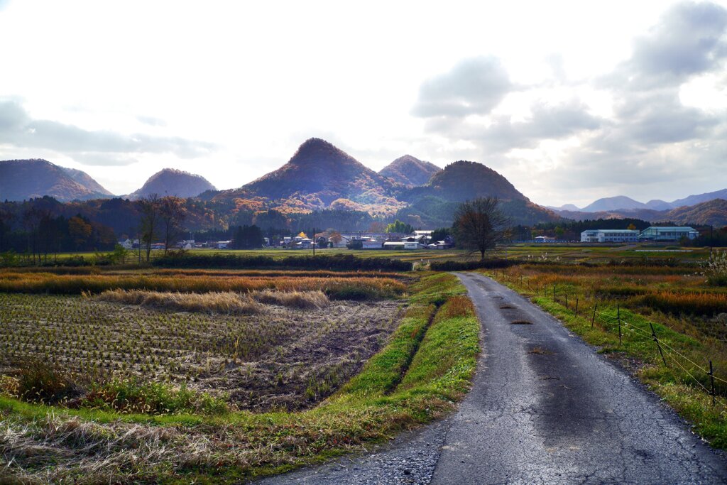 大沢田1