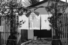 On The Sunny Side Of Town (Jan.19, 2024)