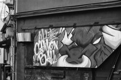 On The Sunny Side Of Town (Jan.1, 2024)