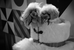 On The Sunny Side Of Town (Dec.20, 2023)